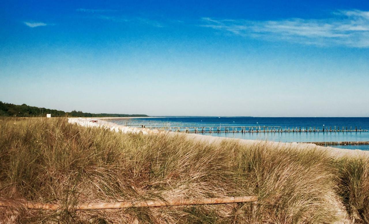 Little Rose Villa Zingst Ngoại thất bức ảnh
