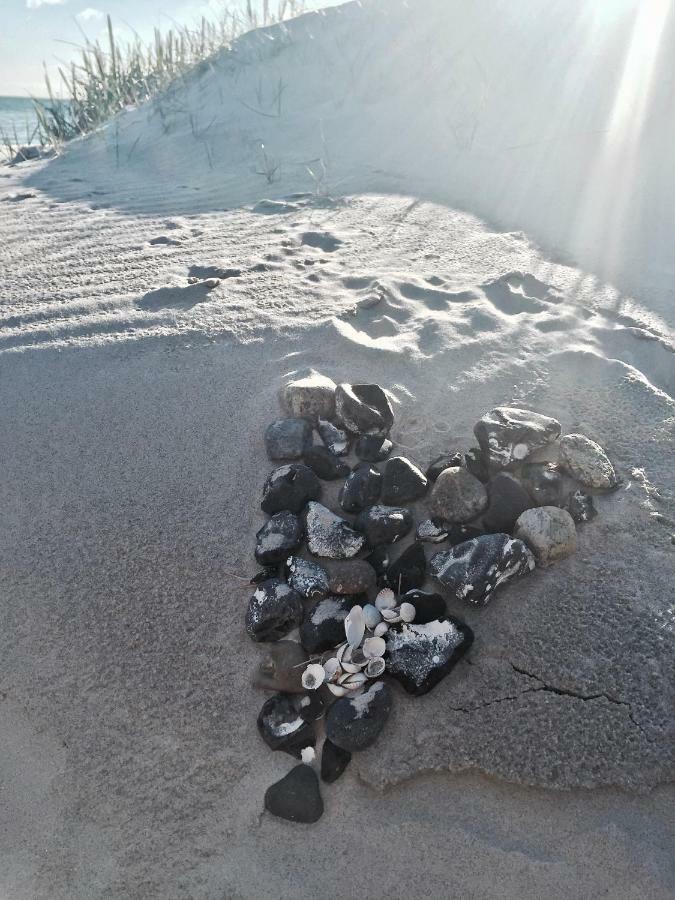 Little Rose Villa Zingst Ngoại thất bức ảnh